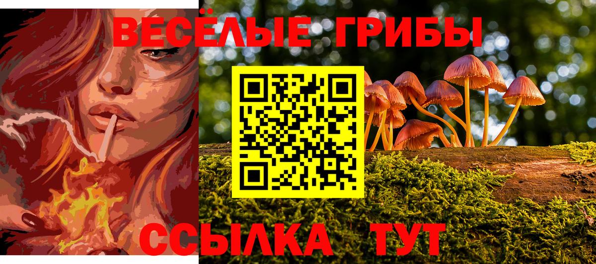 Галлюциногенные грибы MAGIC MUSHROOMS Астрахань
