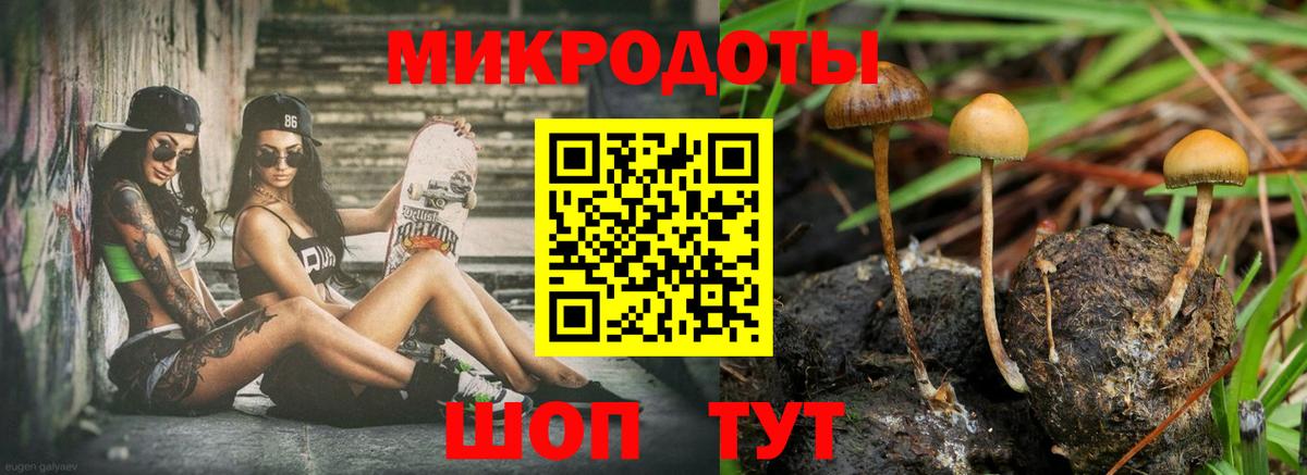 Галлюциногенные грибы Psilocybe Астрахань