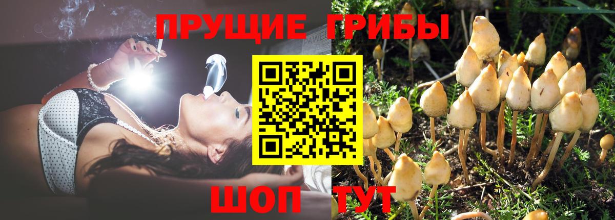 Псилоцибиновые грибы мицелий  Галлюциногенные грибы мухоморы  Астрахань 